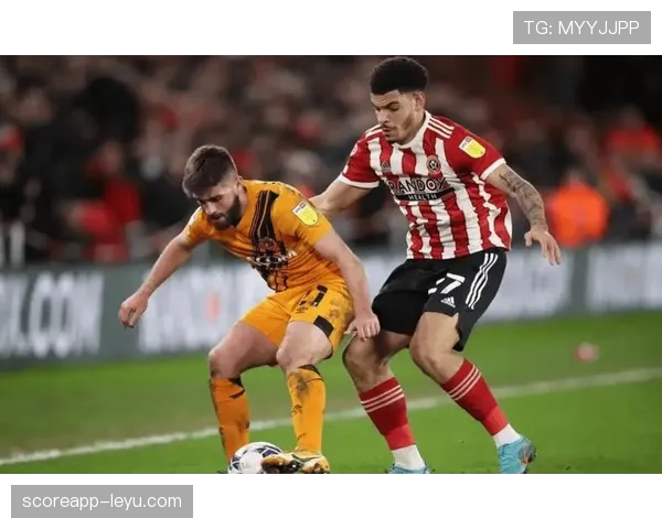 赫尔城迎英冠保级关键战，全力抢分争取生存希望