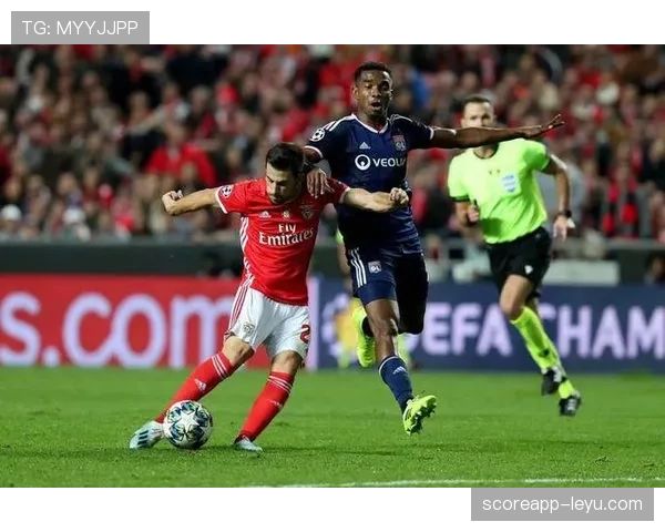 本菲卡核心球员状态回暖，全力冲击新赛季荣耀