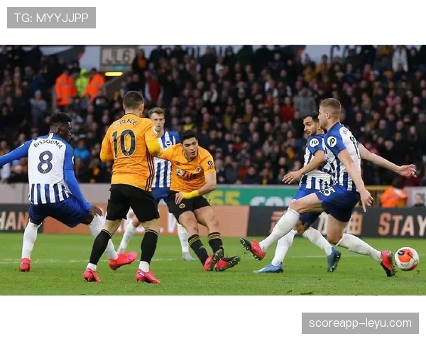 布莱顿新赛季火力全开，状态回暖彰显强劲竞争力