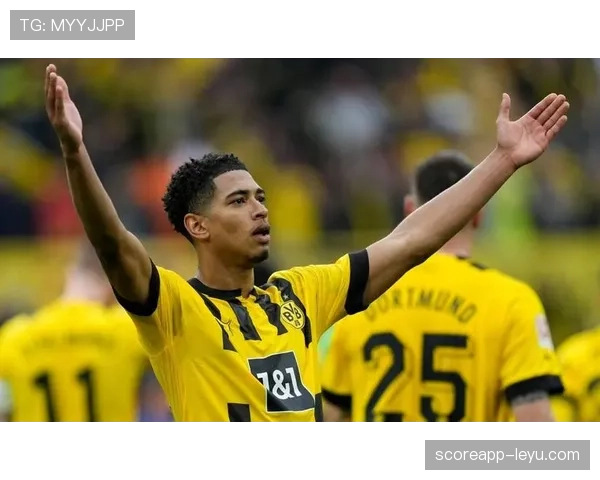 贝林厄姆伯明翰新球场绯闻 贝林厄姆伯明翰新球场绯闻