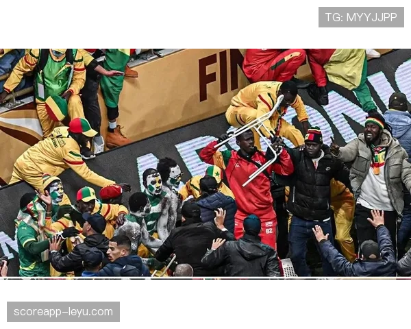 非洲国家杯争议事件最新进展