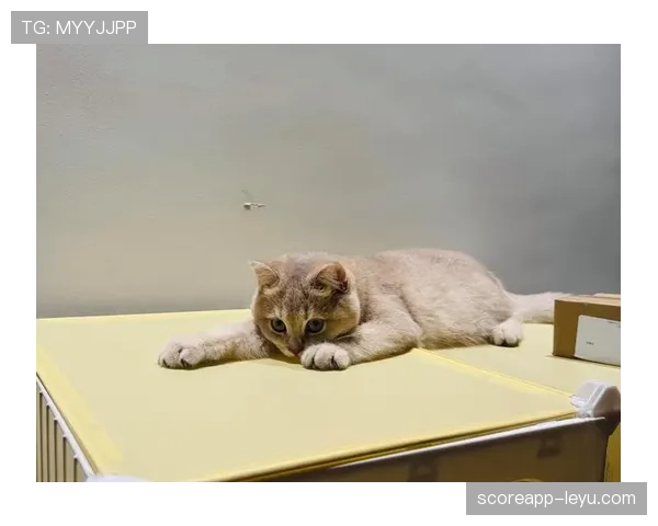 史梦瑶训练完随手啃蛋白棒的样子，真当自己是铁打的？